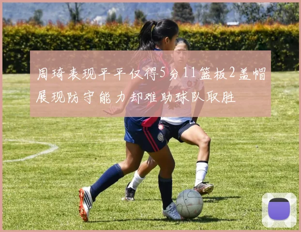 周琦表现平平仅得5分11篮板2盖帽展现防守能力却难助球队取胜