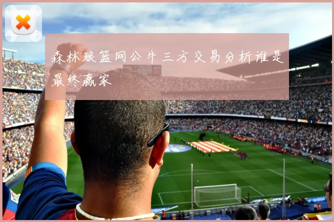 森林狼篮网公牛三方交易分析谁是最终赢家
